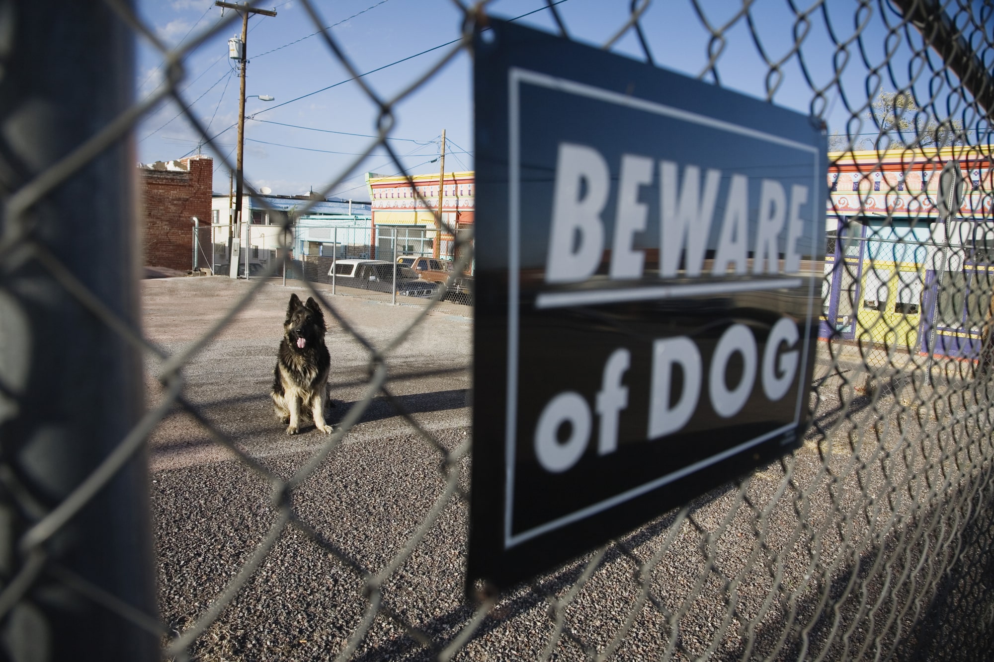 dog bite injury lawyer